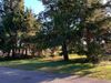 16 E Bates Ave photo
